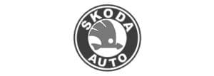 Škoda-Auto-logo bn